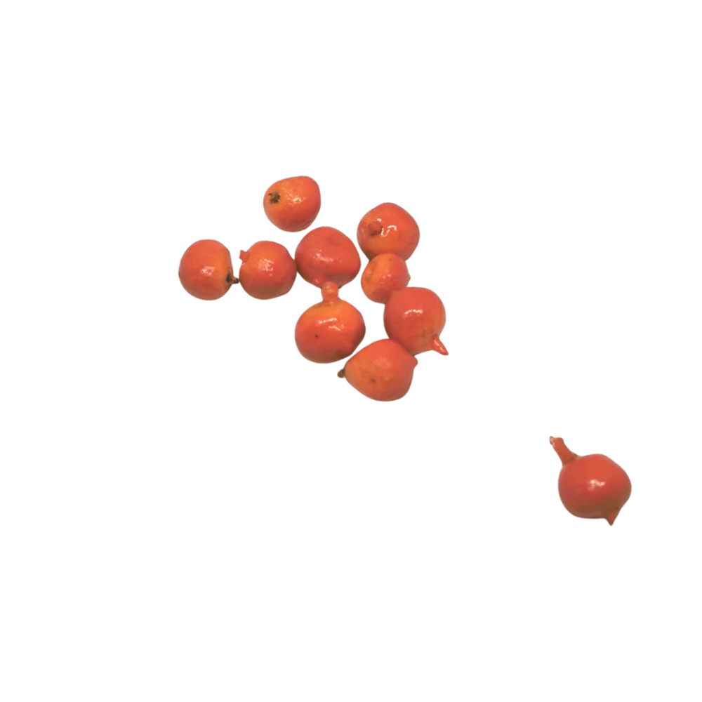 ARANCE PICCOLE 10 PZ