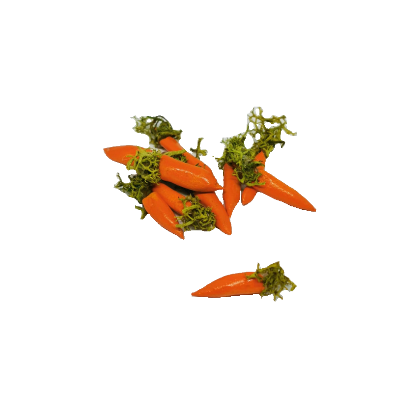 CAROTE PICCOLE 10 PZ