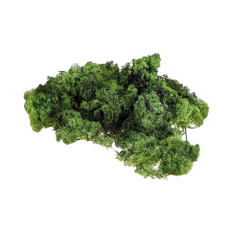 LICHENE 30 GR. VERDE CHIARO