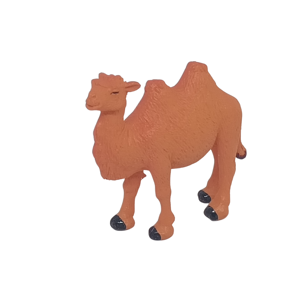 CAMMELLO CM 4 PLASTICA