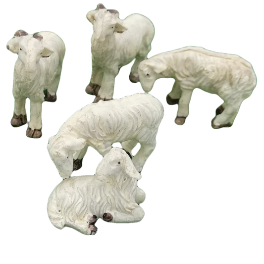 PECORELLE CM5 5MOD. RESINA