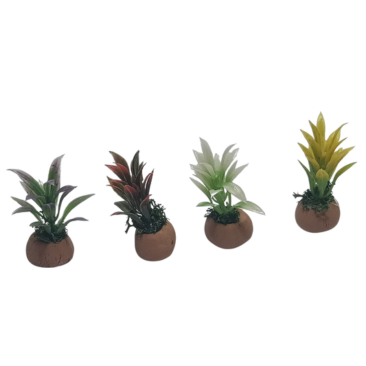 PIANTE IN VASO ASS. PZ 4