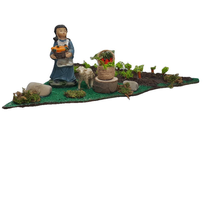 RACCOLTA E VENDITA DI CAROTE CM 20X18X9