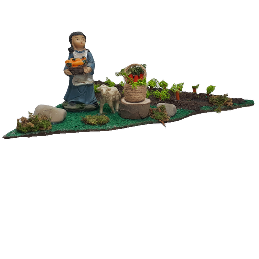 RACCOLTA E VENDITA DI CAROTE CM 20X18X9