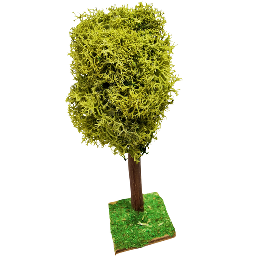 ALBERO LICHENE MIS.3 CM. 12