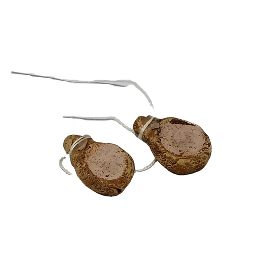 PROSCIUTTO CRUDO 2PZ