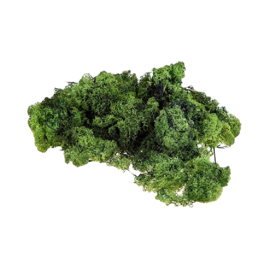 LICHENE 30 GR. VERDE CHIARO