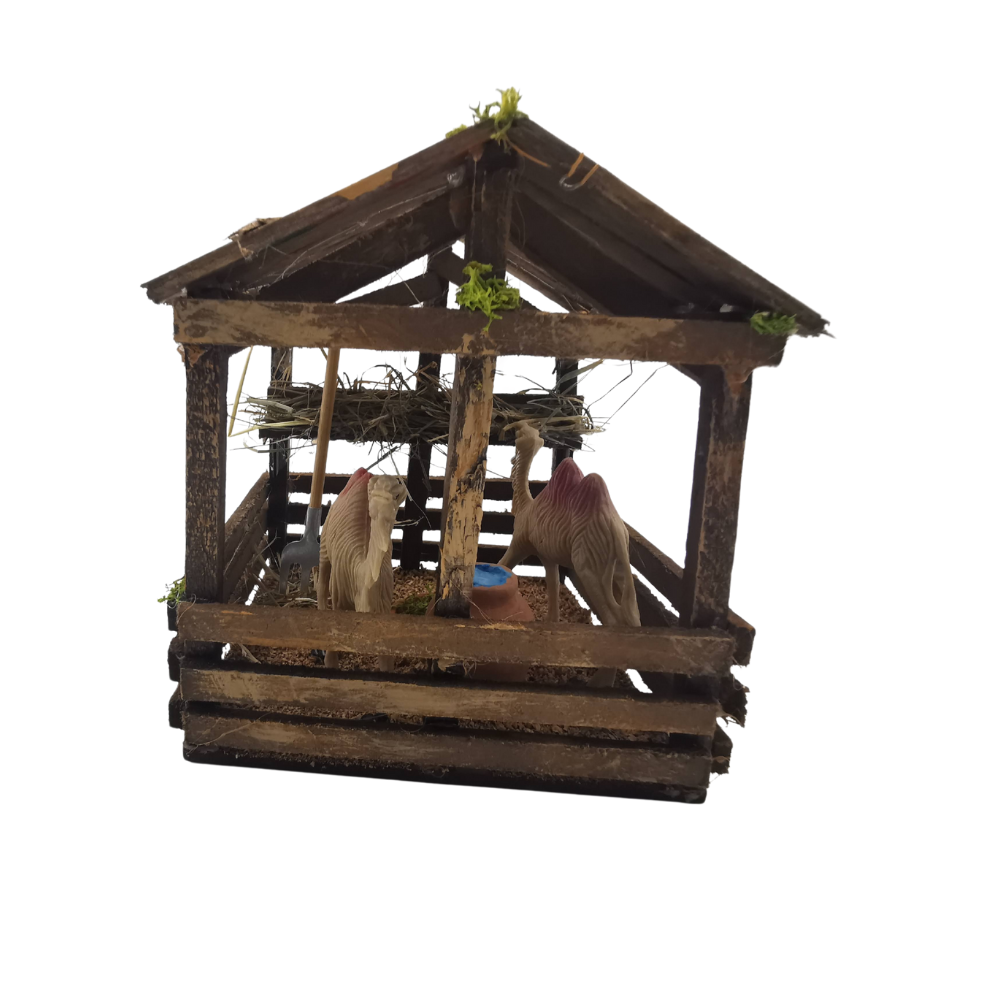 RECINTO CON CAMMELLI CM 14X14X14