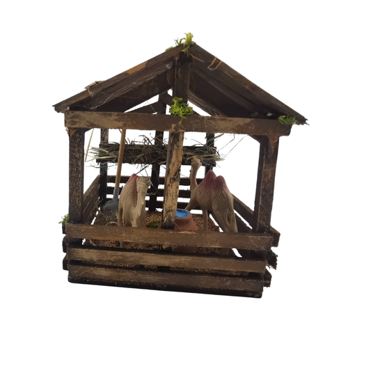 RECINTO CON CAMMELLI CM 14X14X14